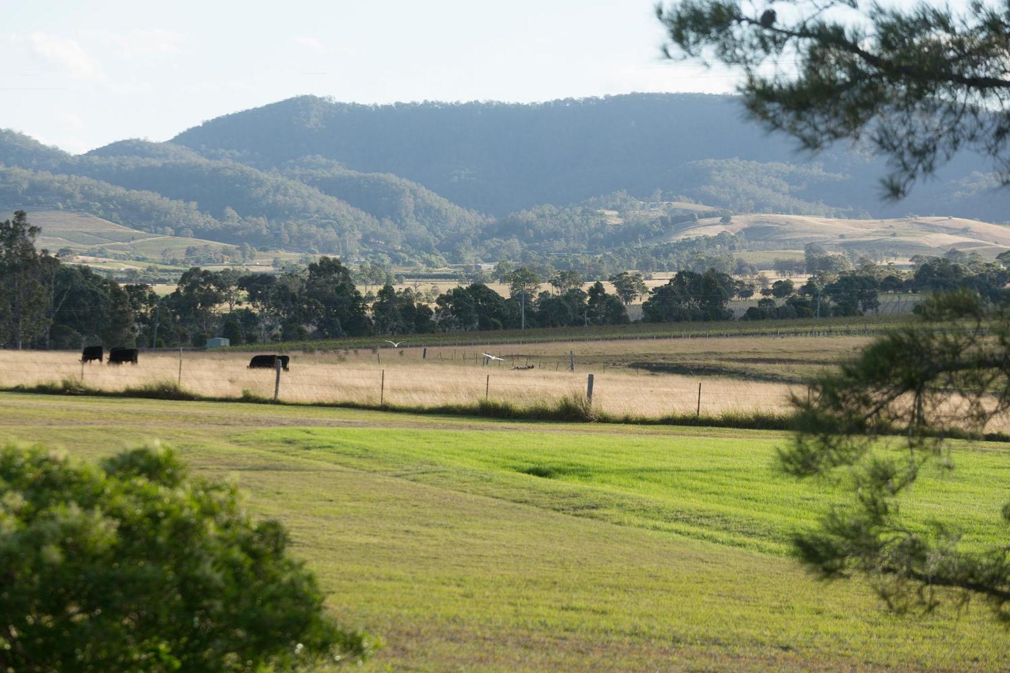 Windarra Lodge Pokolbin Bagian luar foto